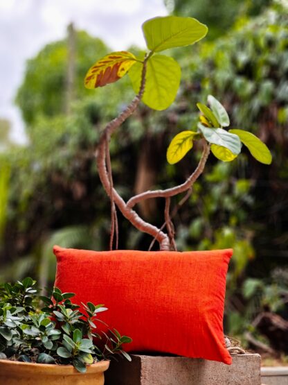 Plain Orange Cushion